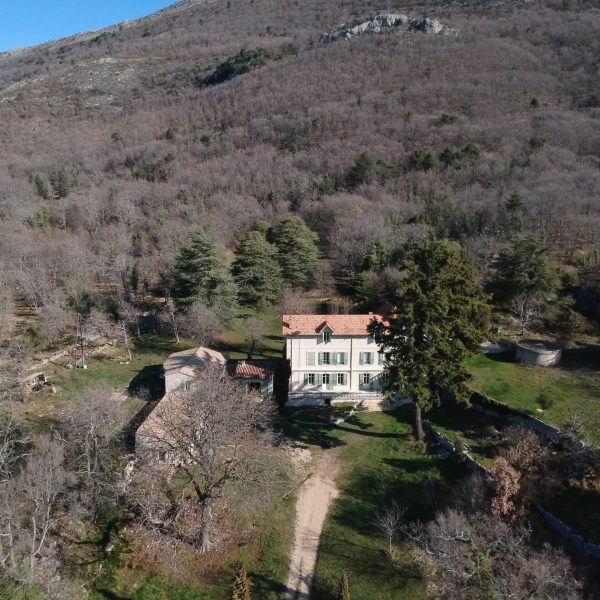 DJI_0274